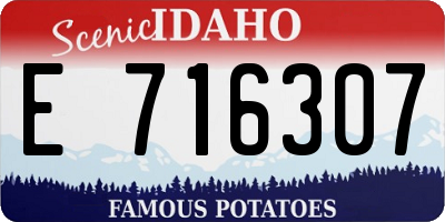 ID license plate E716307