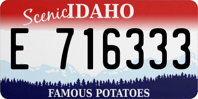 ID license plate E716333