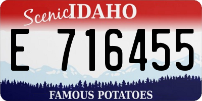 ID license plate E716455