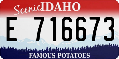ID license plate E716673