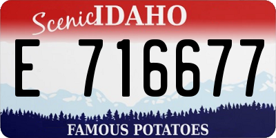 ID license plate E716677