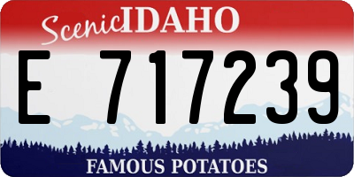 ID license plate E717239
