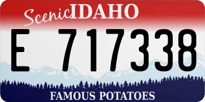 ID license plate E717338