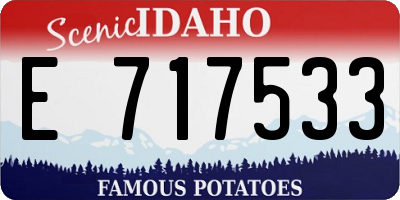 ID license plate E717533