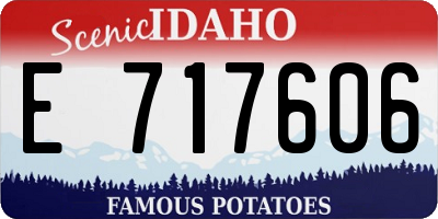 ID license plate E717606