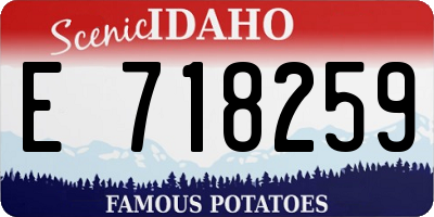 ID license plate E718259