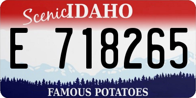 ID license plate E718265