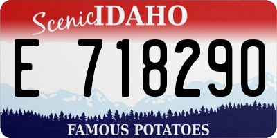 ID license plate E718290