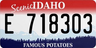 ID license plate E718303