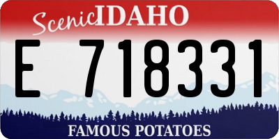 ID license plate E718331