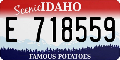 ID license plate E718559