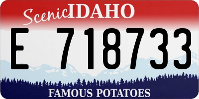 ID license plate E718733