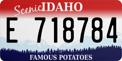 ID license plate E718784