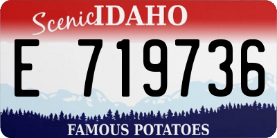 ID license plate E719736