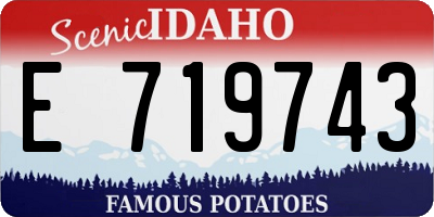ID license plate E719743