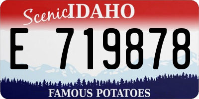 ID license plate E719878