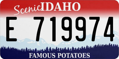 ID license plate E719974
