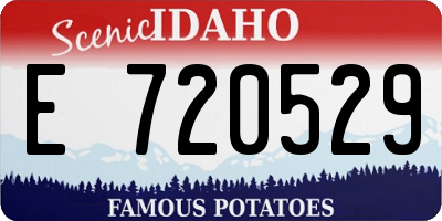 ID license plate E720529