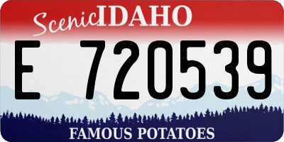 ID license plate E720539