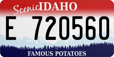 ID license plate E720560