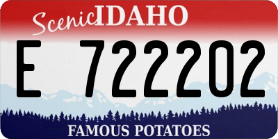 ID license plate E722202