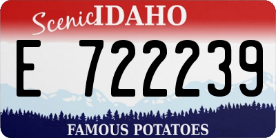 ID license plate E722239