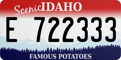 ID license plate E722333
