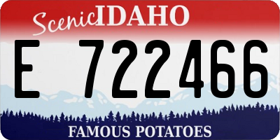 ID license plate E722466