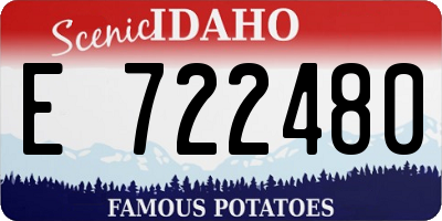ID license plate E722480