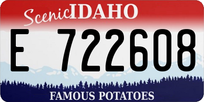 ID license plate E722608
