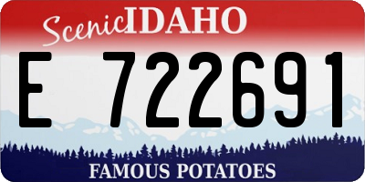 ID license plate E722691