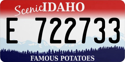 ID license plate E722733