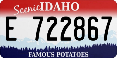 ID license plate E722867