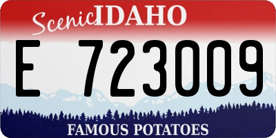 ID license plate E723009