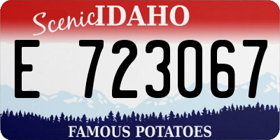 ID license plate E723067