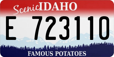ID license plate E723110