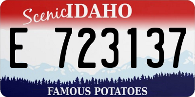 ID license plate E723137