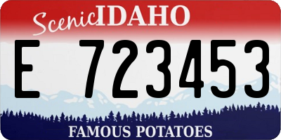 ID license plate E723453
