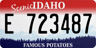 ID license plate E723487