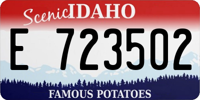ID license plate E723502