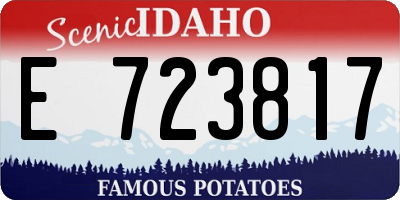 ID license plate E723817