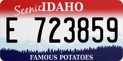 ID license plate E723859