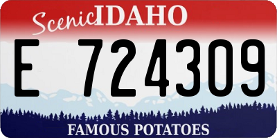 ID license plate E724309