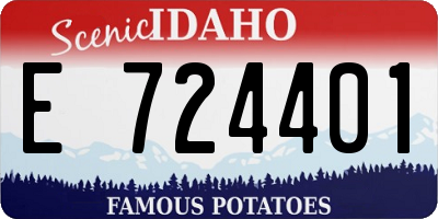 ID license plate E724401