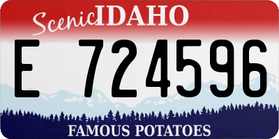 ID license plate E724596