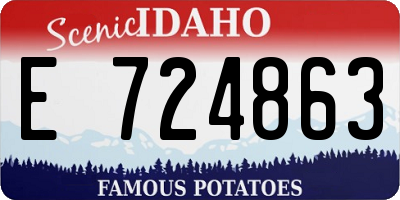 ID license plate E724863