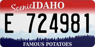 ID license plate E724981