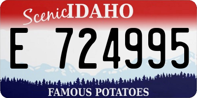 ID license plate E724995