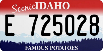 ID license plate E725028