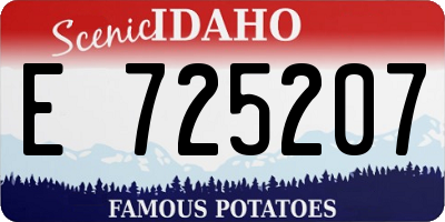 ID license plate E725207